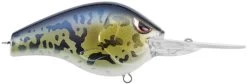SPRO Fat Papa 70 Deep Diving Crankbait -Danshui Fishing Shop SBD70GBY GOBY dd456962 fa34 4711 8dde 7ee06867a9f7