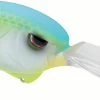 SPRO Outsider DD 80 Crankbait -Danshui Fishing Shop SOSCDD80CGM CitrusGlimmer