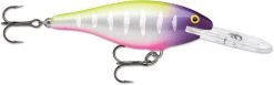 Rapala Shad Rap 3 1/8 Inch Deep Diving Crankbait SR08 36 Rapala Shad Rap 3 1/8 Inch Deep Diving Crankbait SR08 -Danshui Fishing Shop SR08MFT 4dbba8aa d3cd 44ee b476 d6ccbc331b7a