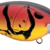 SPRO Mike McClelland RkCrawler MD 55 Medium Diving Crankbait 2 SPRO Mike McClelland RkCrawler MD 55 Medium Diving Crankbait -Danshui Fishing Shop SRCMD55DCW DeltaCraw 9d429ffa e68b 43d0 b981 dfd528505b5a