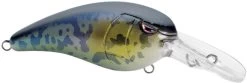 SPRO Mike McClelland RkCrawler MD 55 Medium Diving Crankbait 30 SPRO Mike McClelland RkCrawler MD 55 Medium Diving Crankbait -Danshui Fishing Shop SRCMD55GBY Goby dd4a042b 83d9 4bd4 bfa0 d678dedf4295