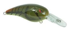 SPRO Mike McClelland RkCrawler MD 55 Medium Diving Crankbait 28 SPRO Mike McClelland RkCrawler MD 55 Medium Diving Crankbait -Danshui Fishing Shop SRCMD55PGR 2