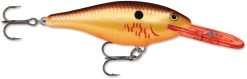 Rapala Shad Rap 2 Inch Medium Diving Crankbait SR05 27 Rapala Shad Rap 2 Inch Medium Diving Crankbait SR05 -Danshui Fishing Shop SR BCF 83dcbd9c f5b2 4093 93d8 77ede97077fa