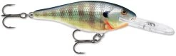 Rapala Shad Rap 3 1/8 Inch Deep Diving Crankbait SR08 28 Rapala Shad Rap 3 1/8 Inch Deep Diving Crankbait SR08 -Danshui Fishing Shop SR BG 2072b5da 4ba7 49d1 91cb a2f795506bfc
