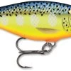 Rapala Shad Rap 3 1/8 Inch Deep Diving Crankbait SR08 2 Rapala Shad Rap 3 1/8 Inch Deep Diving Crankbait SR08 -Danshui Fishing Shop SR HS bf2034ff 9a06 4b1f a74b 694aa4b53d81