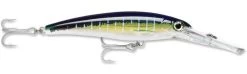 Rapala X-Rap Magnum 30 Big Game Slash Bait -Danshui Fishing Shop Sailfish UV 3caf68d5 73bf 4ed7 9ba6 de0b7aced252