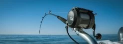 Daiwa Tanacom 800 Power Assist Electric Dendoh Reel -Danshui Fishing Shop TANACOM 800 BANNER1