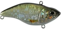 SPRO Aruku Shad Jr. Lipless Crankbait 35 SPRO Aruku Shad Jr. Lipless Crankbait -Danshui Fishing Shop Wild Shiner 8103e372 3ba3 4bb4 bfe2 10f4f96473ff