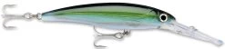 Rapala X-Rap Magnum 15 Big Game Slash Bait 39 Rapala X-Rap Magnum 15 Big Game Slash Bait -Danshui Fishing Shop Yellowfin Tuna 87154722 2254 4e3a 8d85 87a9869c56f8