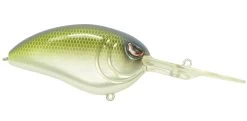 SPRO John Crews Little John DD 70 Extra Deep Diving Crankbait 40 SPRO John Crews Little John DD 70 Extra Deep Diving Crankbait -Danshui Fishing Shop ayu shad