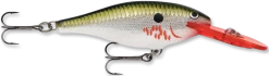 Rapala Shad Rap 2 3/4 Inch Medium Diving Crankbait SR07 -Danshui Fishing Shop bleeding 2Bolive 2Bflash fbfdec03 6a18 4e40 94ed cea596d27917
