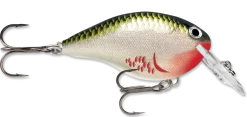Rapala DT Series Crankbait DT4 -Danshui Fishing Shop bleeding olive shiner b6263b92 6a43 45af 9691 3e5bd20a5503
