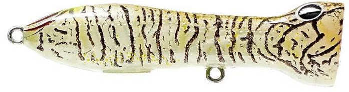 Nomad Design Chug Norris Freshwater/Inshore Popper 5 Nomad Design Chug Norris Freshwater/Inshore Popper - Image 3