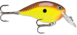 Rapala DT Series Crankbait DT4 -Danshui Fishing Shop chartreuse brown 74f30f15 7fc4 408a a73f 846212ded236