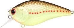 Lucky Craft LC 2.5 Shallow Squarebill Crankbait -Danshui Fishing Shop copper 2Bperch