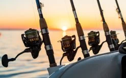 Daiwa BG Spinning Reels 13 Daiwa BG Spinning Reels -Danshui Fishing Shop daiwa bg 07