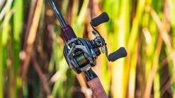 Daiwa Steez CT SV Baitcasting Reel 22 Daiwa Steez CT SV Baitcasting Reel -Danshui Fishing Shop daiwa steez ct sv 5