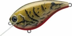 Evergreen International Flat Force 4 Flat-Sided Shallow Diving Crankbait 30 Evergreen International Flat Force 4 Flat-Sided Shallow Diving Crankbait -Danshui Fishing Shop ever green ff 216 live crawdad