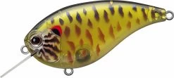 Evergreen International Flat Force 4 Flat-Sided Shallow Diving Crankbait 34 Evergreen International Flat Force 4 Flat-Sided Shallow Diving Crankbait -Danshui Fishing Shop ever green ff 286 skeleton pumpkinseed