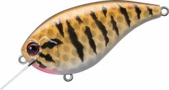 Evergreen International Flat Force 4 Flat-Sided Shallow Diving Crankbait 35 Evergreen International Flat Force 4 Flat-Sided Shallow Diving Crankbait -Danshui Fishing Shop ever green ff 392 smallmouth bass
