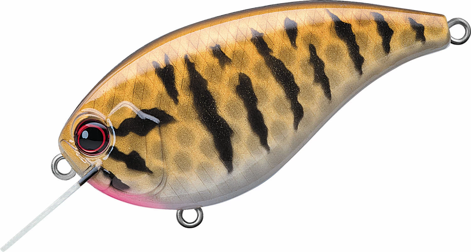Evergreen International Flat Force 4 Flat-Sided Shallow Diving Crankbait 19 Evergreen International Flat Force 4 Flat-Sided Shallow Diving Crankbait - Image 17