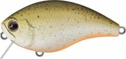 Evergreen International CH-1 Waking Crankbait 23 Evergreen International CH-1 Waking Crankbait -Danshui Fishing Shop evergreen CH 1 438 root beer