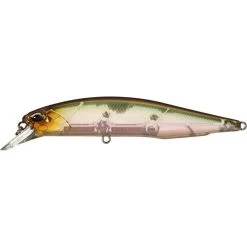Duo Realis Jerkbait 100SP Suspending -Danshui Fishing Shop ghost minnow 27c6426f 1880 4fd8 bd48 44d6ed15bf0b
