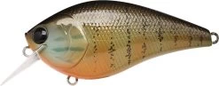 Lucky Craft LC 2.5 Shallow Squarebill Crankbait -Danshui Fishing Shop gold pumpkin seed