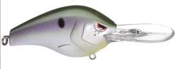 SPRO Fat Papa 70 Deep Diving Crankbait -Danshui Fishing Shop hickory shad