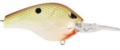 SPRO Fat Papa 70 Deep Diving Crankbait -Danshui Fishing Shop honey shad