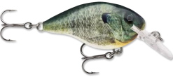 Rapala DT Series Crankbait DT4 -Danshui Fishing Shop live bluegill 081b953a 2495 4e91 8399 d3acc222bfc4