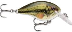 Rapala DT Series Crankbait DT4 -Danshui Fishing Shop live largemouth bass 2f259570 db69 465c b5d8 9a0aa813ca36