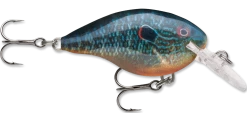Rapala DT Series Crankbait DT4 -Danshui Fishing Shop live pumpkinseed 329bf6f4 4258 4a12 9973 80c87ede8f9b