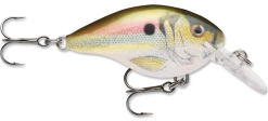 Rapala DT Series Crankbait DT4 -Danshui Fishing Shop live river shad 99811d93 def6 46c2 847f 2cc70509e248