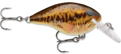 Rapala DT Series Crankbait DT4 -Danshui Fishing Shop live smallmouth bass e408e51d bf23 4c82 83cd 7f8d7407e433