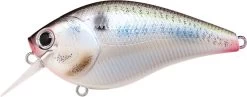 Lucky Craft LC 2.5 Shallow Squarebill Crankbait -Danshui Fishing Shop live threadfin shad