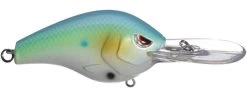 SPRO Fat Papa 70 Deep Diving Crankbait -Danshui Fishing Shop mellow yellow fat papa