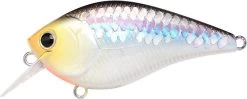 Lucky Craft LC 2.5 Shallow Squarebill Crankbait -Danshui Fishing Shop ms 2Bimpulse 2Bshad
