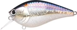 Lucky Craft LC 2.5 Shallow Squarebill Crankbait -Danshui Fishing Shop ms american shad
