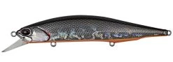 Duo Realis Jerkbait 110SP Suspending -Danshui Fishing Shop prism shad 8b7f7310 1bc7 4a23 8014 52988529c47b