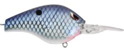 SPRO Fat Papa 70 Deep Diving Crankbait -Danshui Fishing Shop river tn gizzard