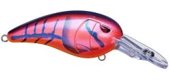 SPRO Mike McClelland RkCrawler MD 55 Medium Diving Crankbait 36 SPRO Mike McClelland RkCrawler MD 55 Medium Diving Crankbait -Danshui Fishing Shop rs 3 c10fdc63 5240 4ac9 9238 87addc630324