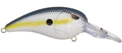 SPRO Mike McClelland RkCrawler MD 55 Medium Diving Crankbait 38 SPRO Mike McClelland RkCrawler MD 55 Medium Diving Crankbait -Danshui Fishing Shop rs 5 caf4ebcd 3859 44de bc34 69a106aaa39c