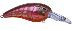 SPRO Mike McClelland RkCrawler MD 55 Medium Diving Crankbait 40 SPRO Mike McClelland RkCrawler MD 55 Medium Diving Crankbait -Danshui Fishing Shop rs 7
