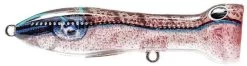Nomad Design Chug Norris Freshwater/Inshore Popper 36 Nomad Design Chug Norris Freshwater/Inshore Popper -Danshui Fishing Shop squid surprise