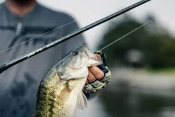 Temple Fork Outfitters Tactical Elite Bass Baitcasting Rods -Danshui Fishing Shop tfo tactical elite bass bottom banner lifestyle 5 1